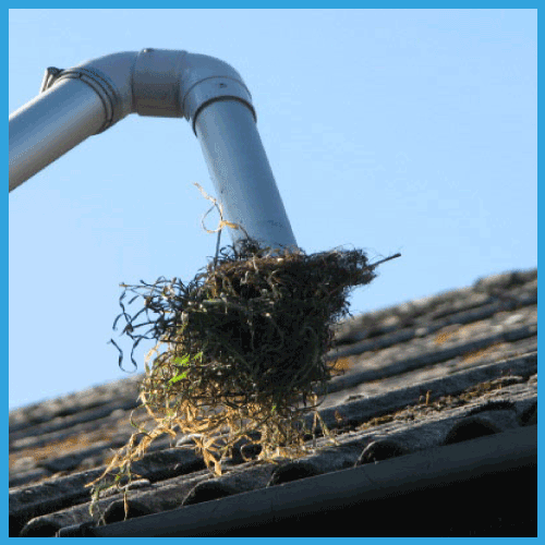 Gutter Cleaning Passfield